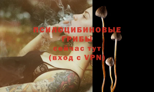 спайс Арсеньев