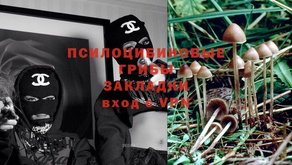 spice Армянск